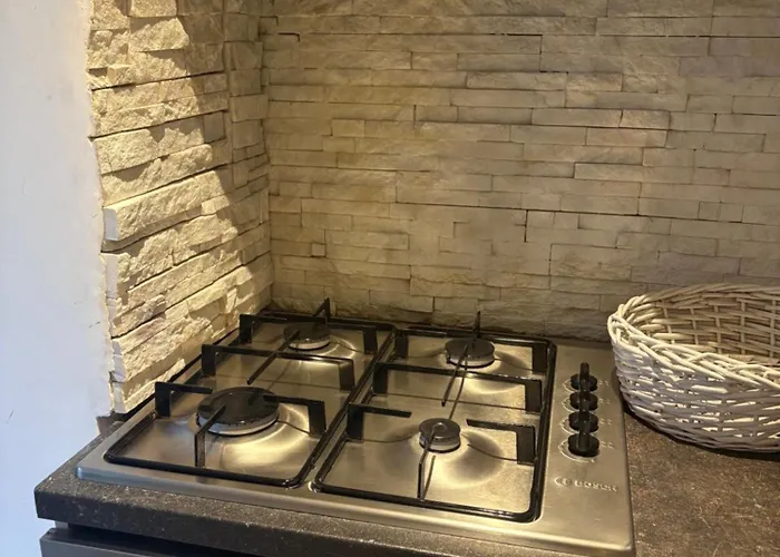 Guest House Plovdiv 3* 普罗夫迪夫